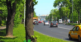 Посадка деревьев и кустарников в Сибае — стоимость от 1233 руб.